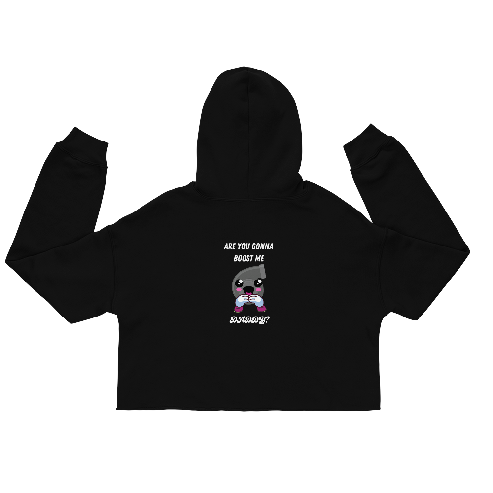 Boost Me Series -Are you Gonna Boost Me Crop Hoodie