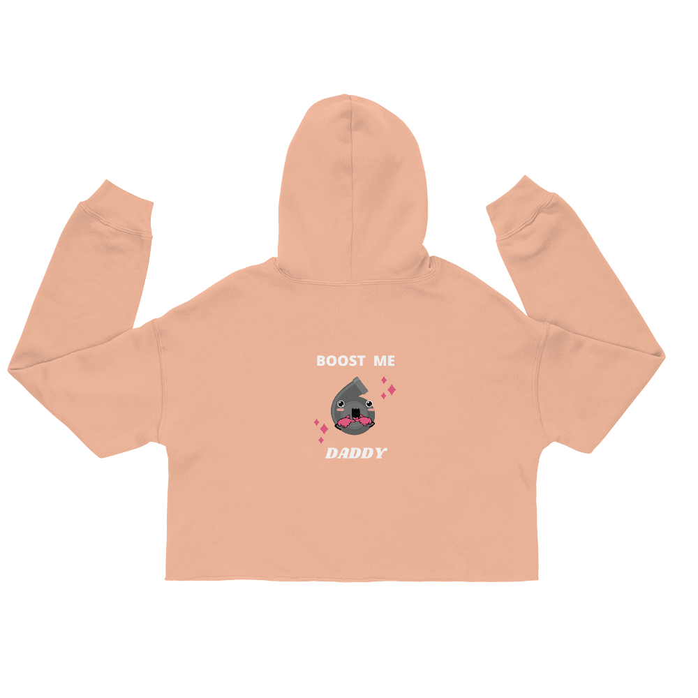 Boost Me Series Crop Hoodie